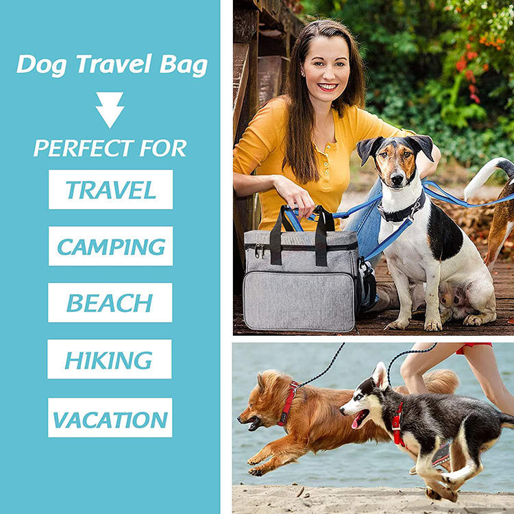 Kit organizador de accesorios para perros y mascotas de viaje al aire libre, Kit de cuenco a prueba de fugas portátil para alimentos y agua
